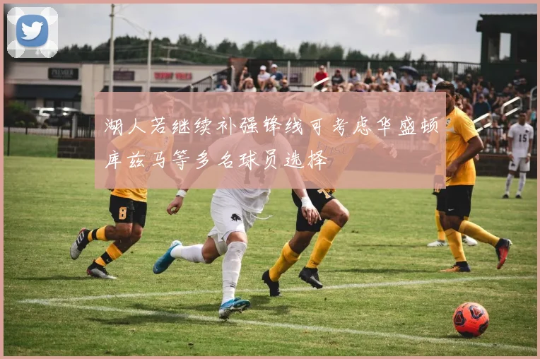 湖人若继续补强锋线可考虑华盛顿库兹马等多名球员选择