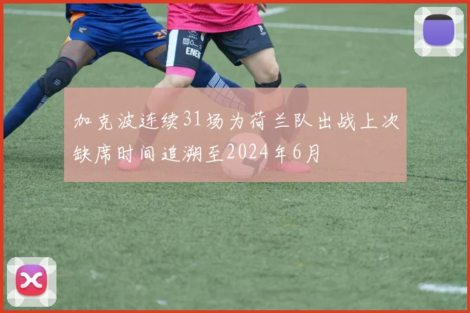 加克波连续31场为荷兰队出战上次缺席时间追溯至2024年6月